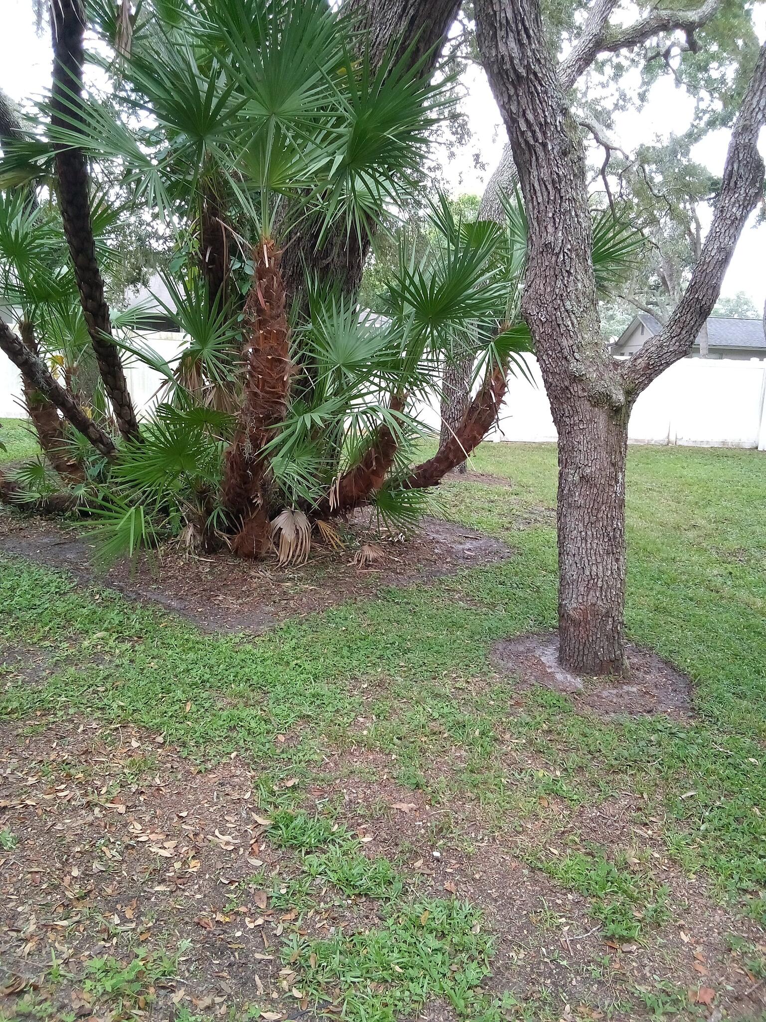 K&R Landscaping Spring Hill, FL Nextdoor