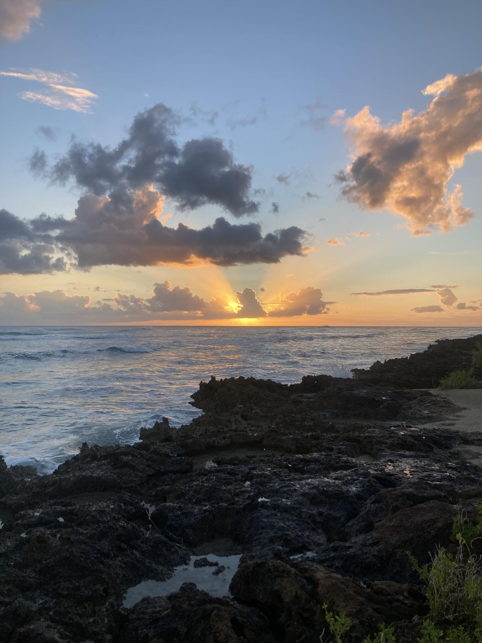 House Sitter, Travel Agent Honolulu, HI Nextdoor