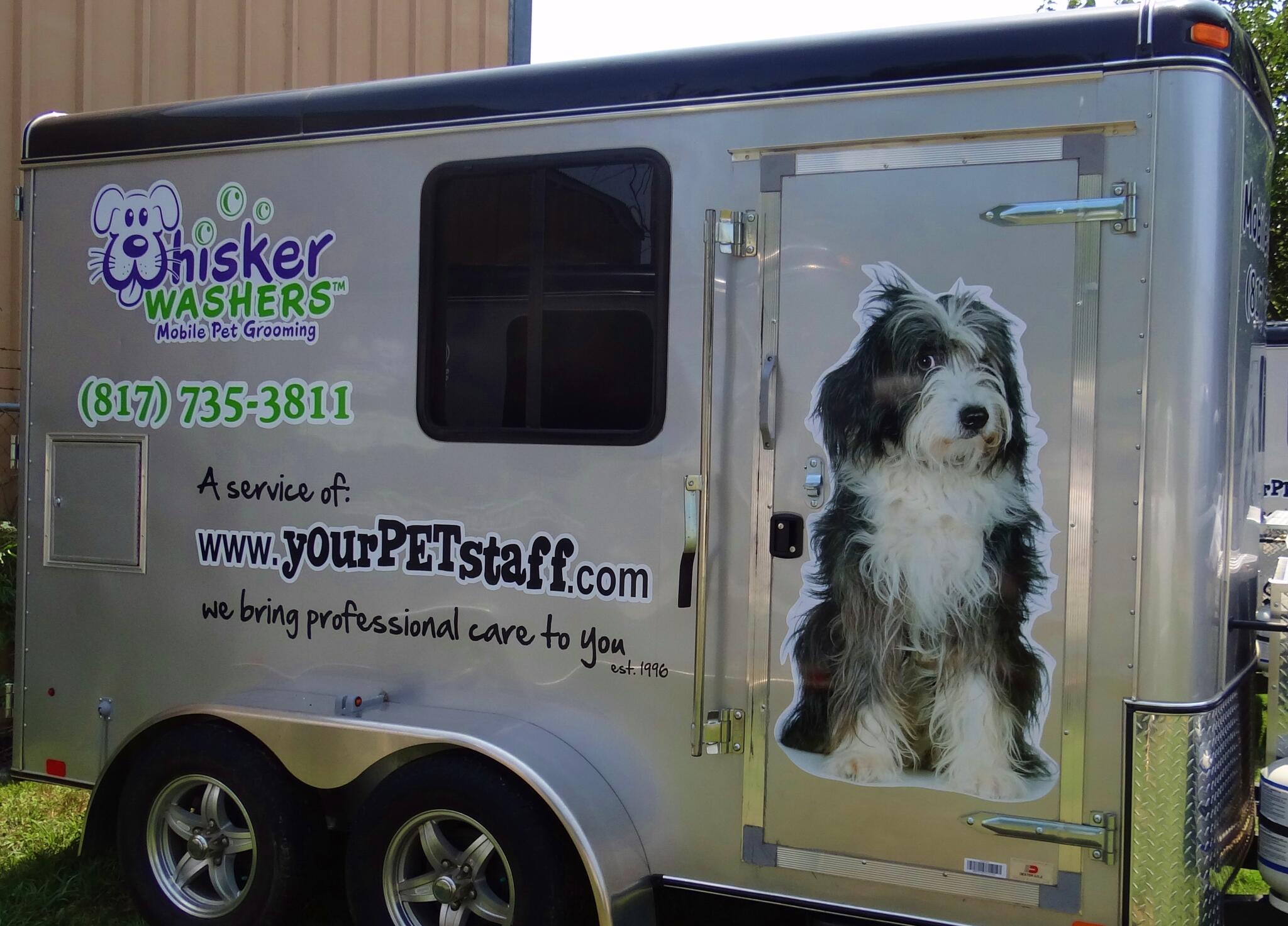 Whisker washers mobile sales pet grooming