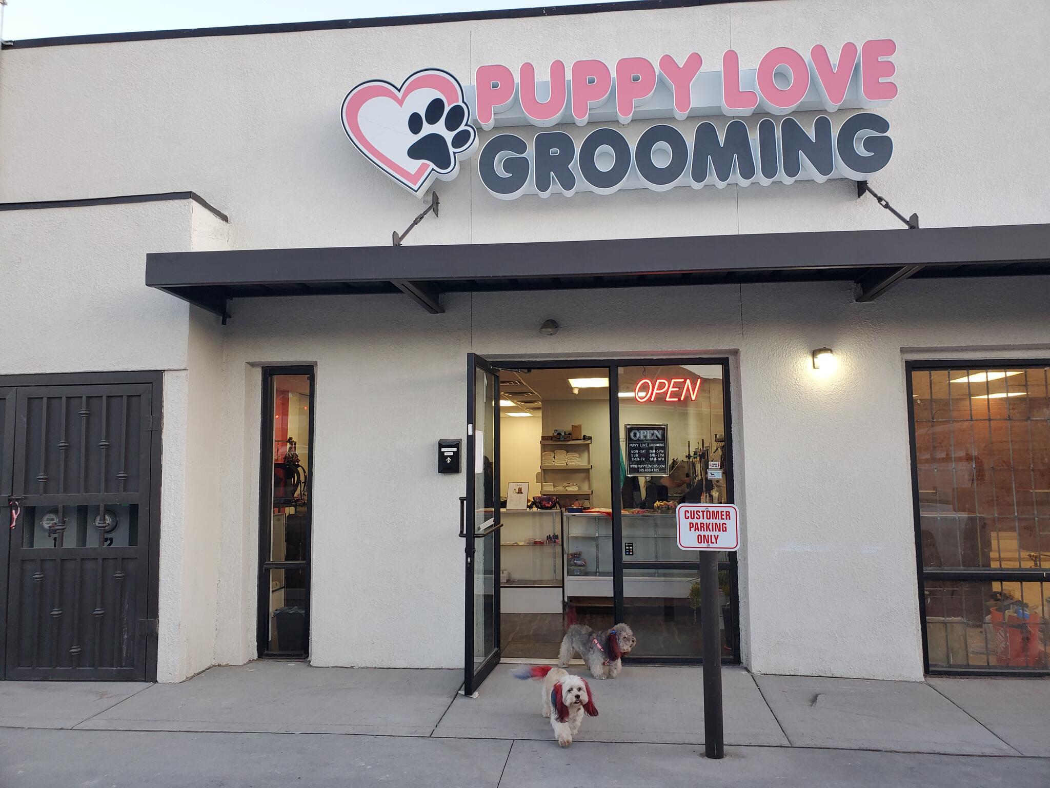 Puppy love deals groomer