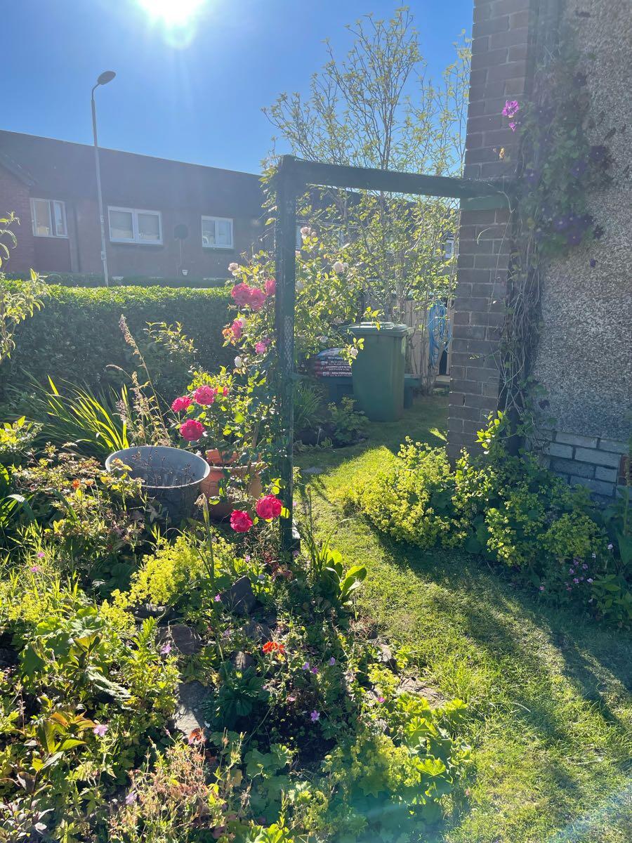 CT Garden maintenance Glasgow Nextdoor