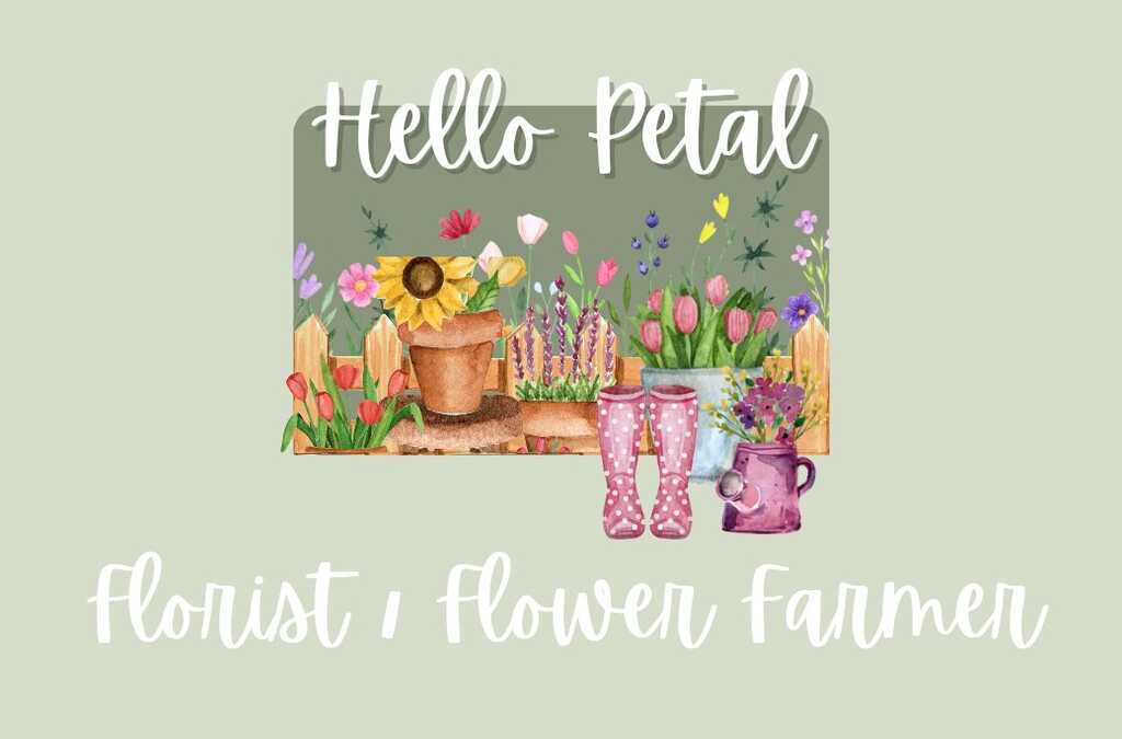 Hello online petal florist