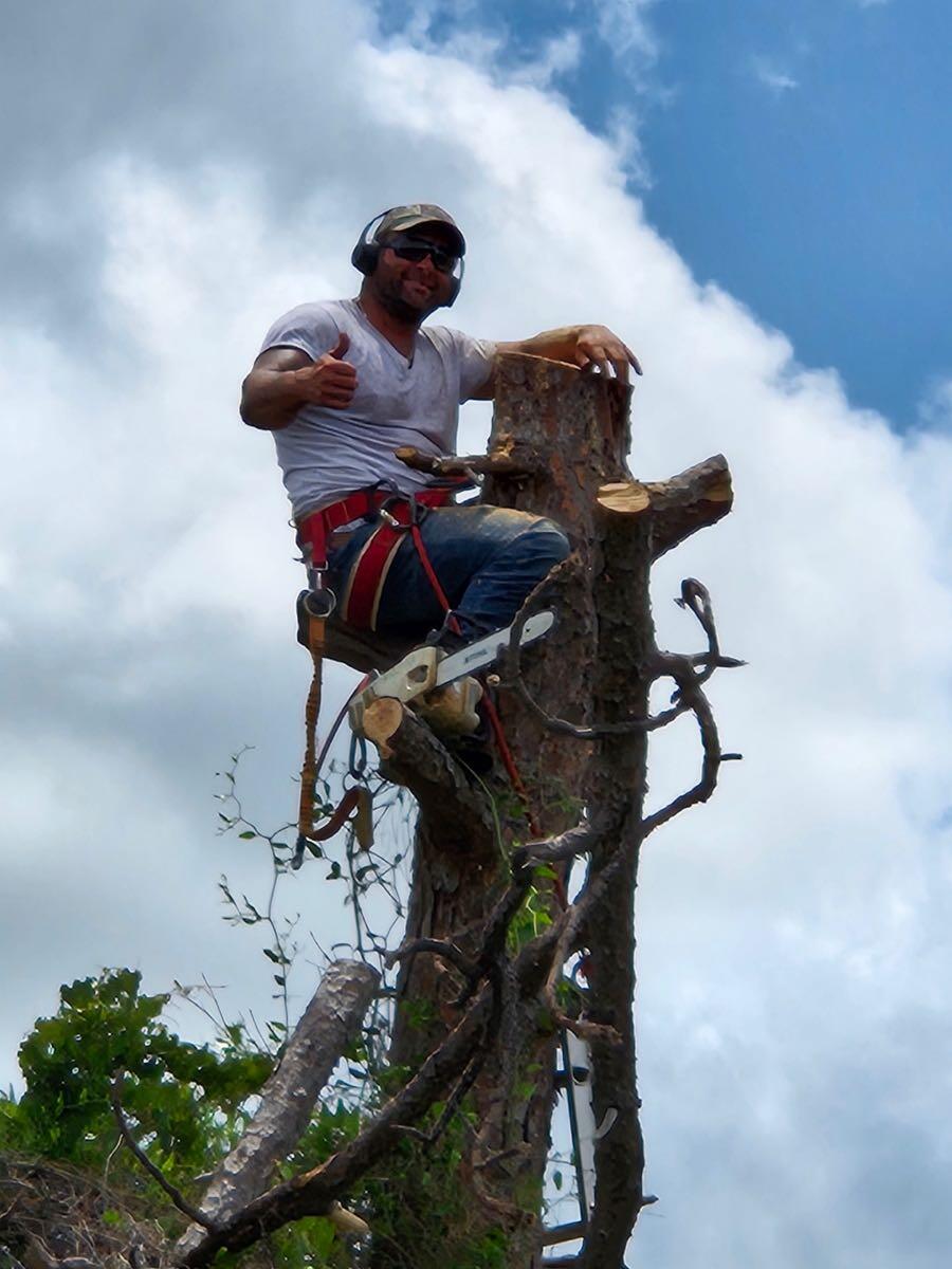 Johnny appleseed landscape and tree service Punta Gorda, FL Nextdoor