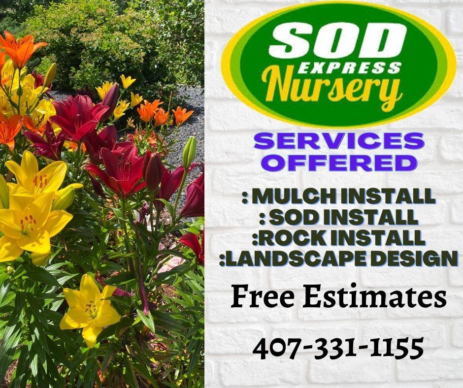 Sod Express Nursery Local Plant Nursery Sod Sales Sanford, FL