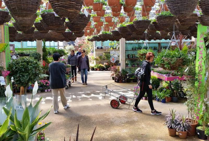 Davies Brothers Nursery Slough Nextdoor