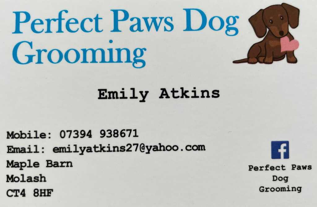 Perfect paws mobile dog grooming hotsell