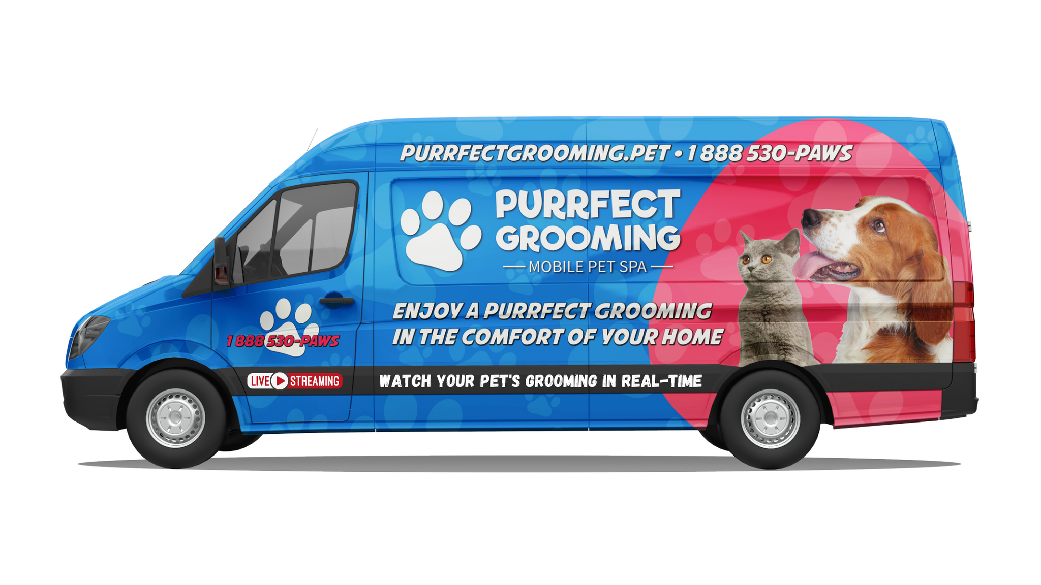 Dog Grooming Purrfect Paws Grooming Cat Grooming Salon Purrfect