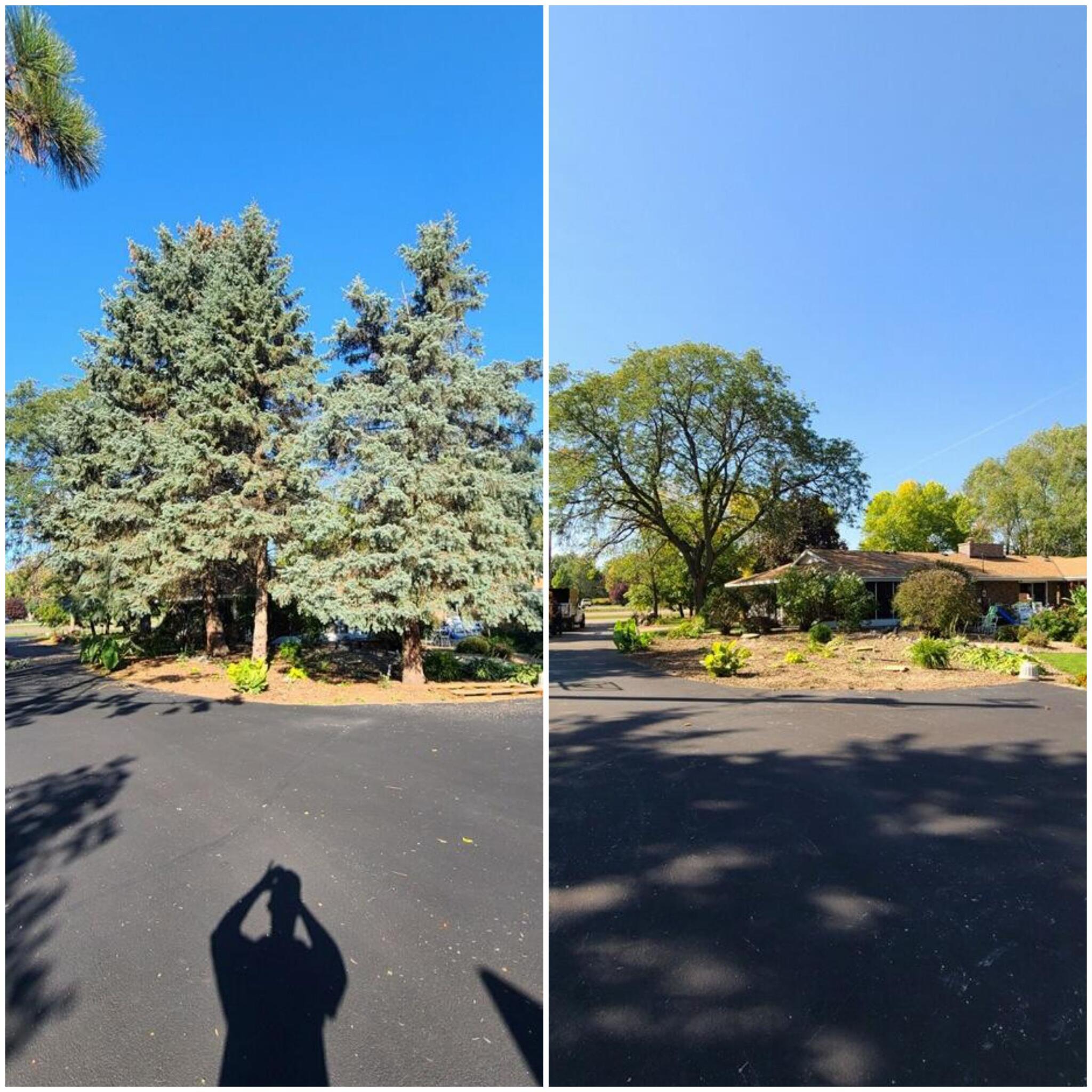 On Point Solutions LLC Tree Service Nextdoor