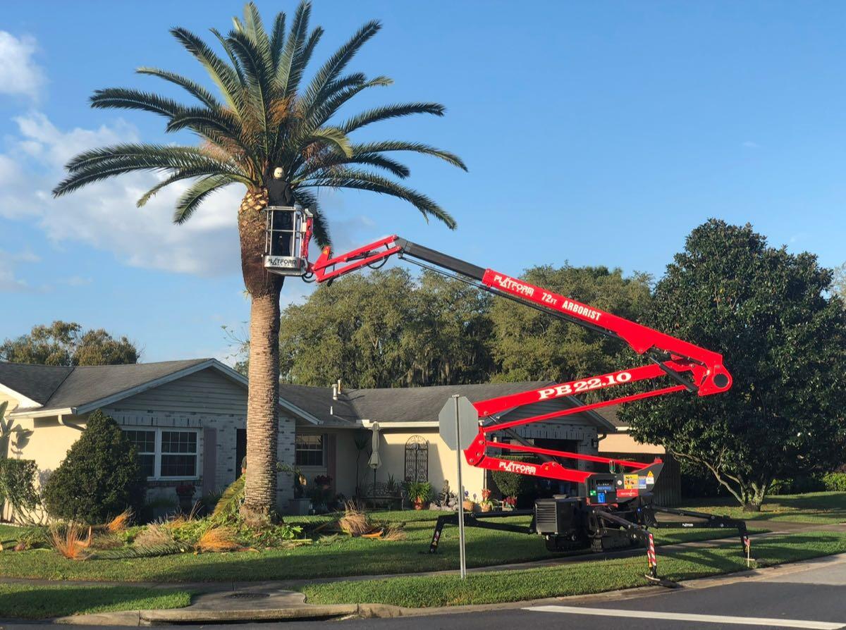 J & J's Lawn and Tree Service Inc. Apopka, FL Nextdoor