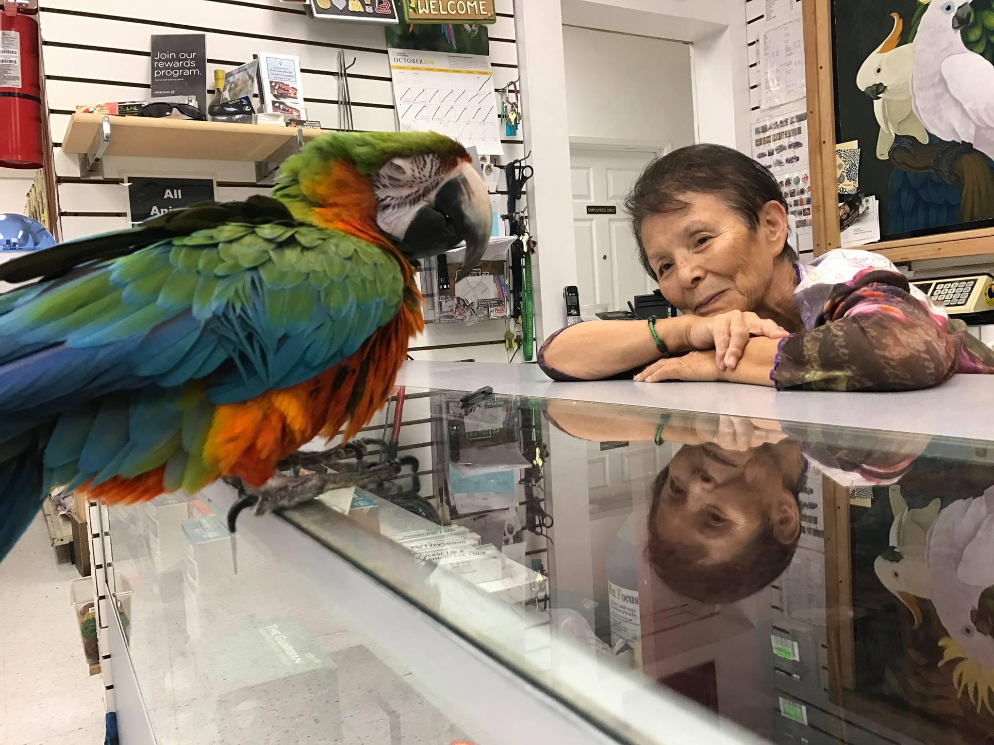 Animal Lovers Pet Shop - Torrance, CA - Nextdoor