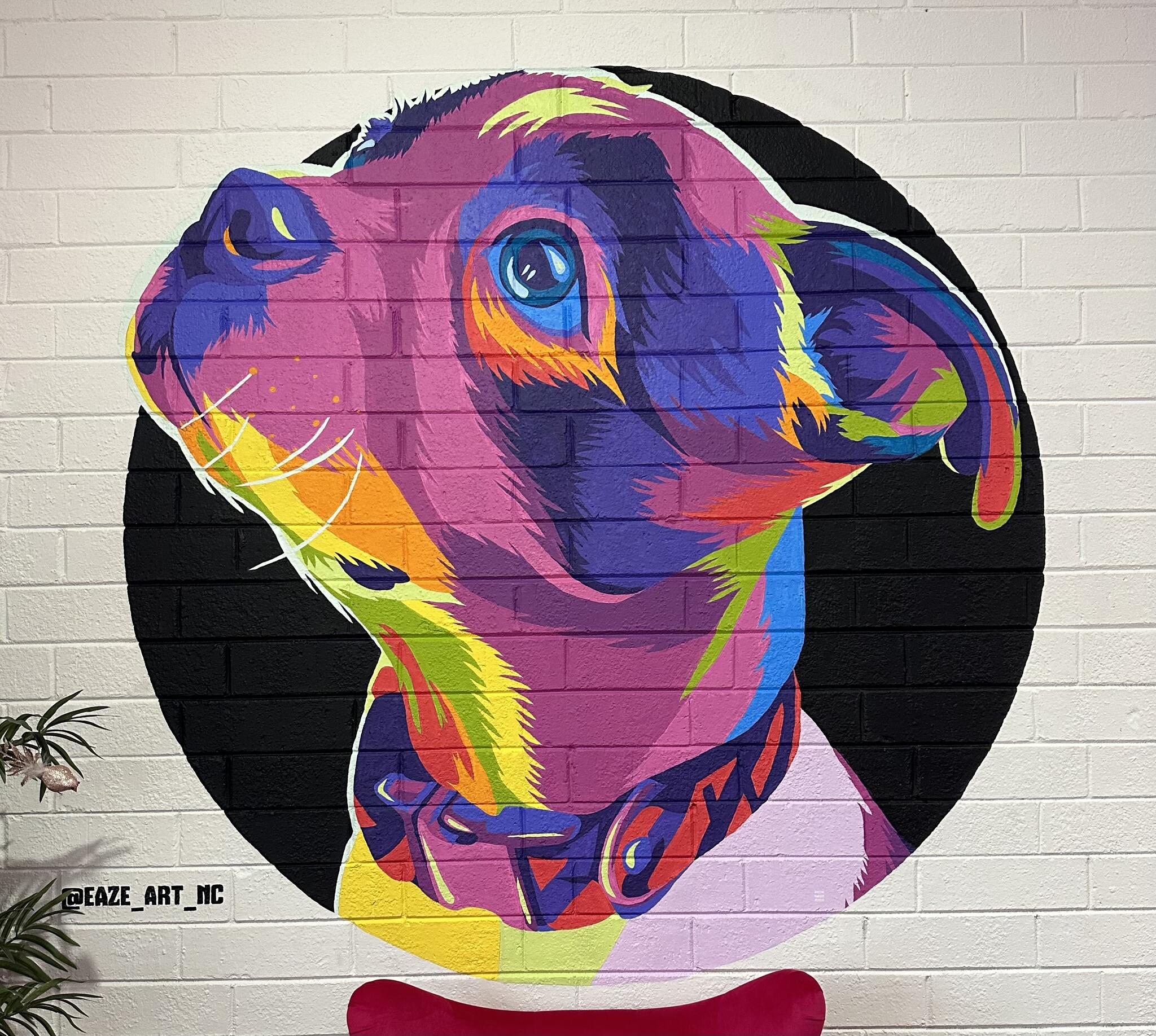 So Fetch Pet Salon Kernersville NC Nextdoor