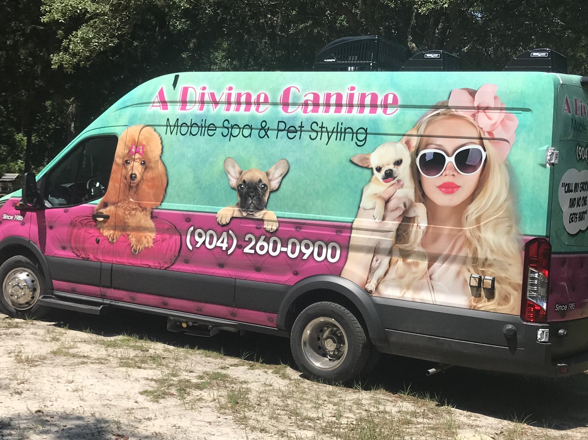 Divine dogs sale mobile pet grooming