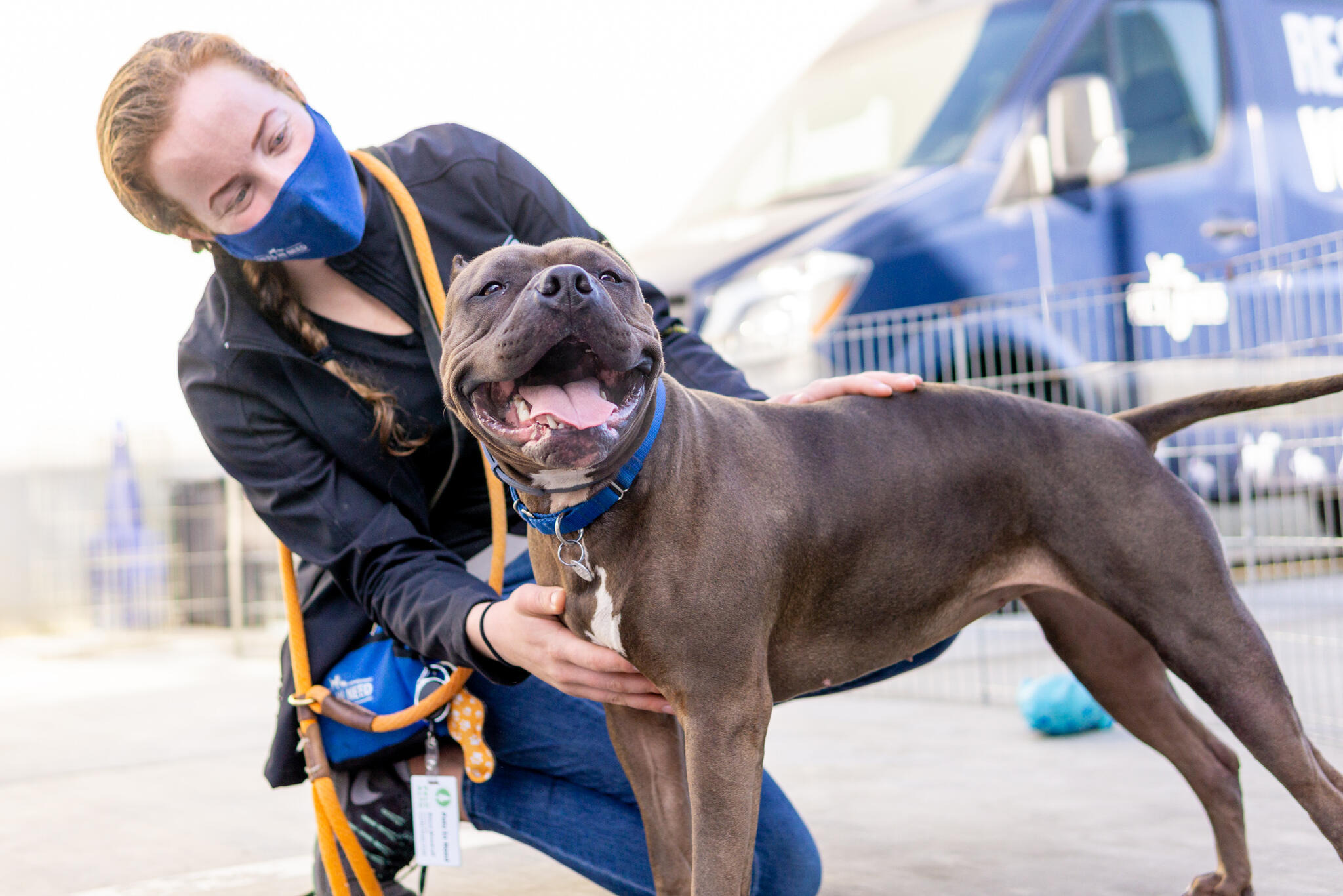 Pets In Need Redwood City, CA Nextdoor
