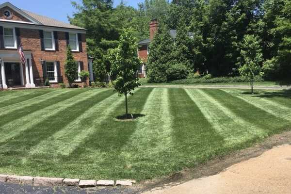 All American Landscaping 3, All About Landscaping Llc