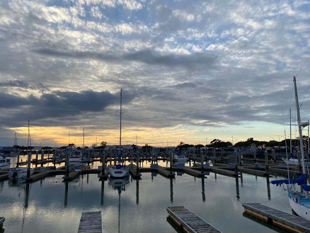 Horatio's San Leandro, CA Nextdoor