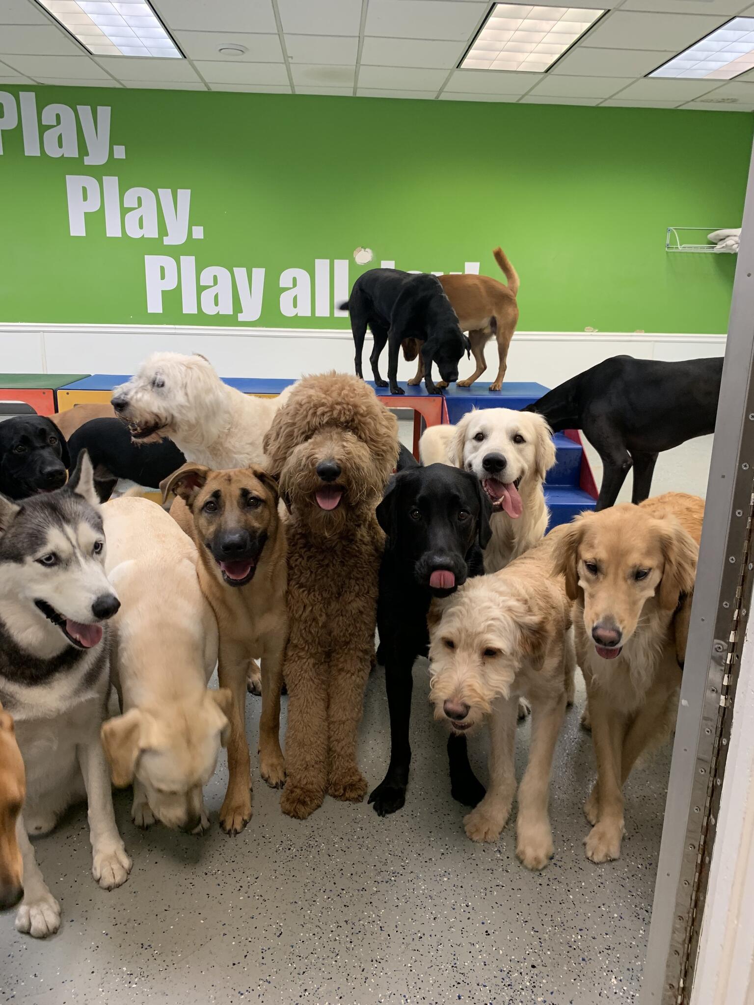 The Ohana Pet Resort West Palm Beach, FL Nextdoor