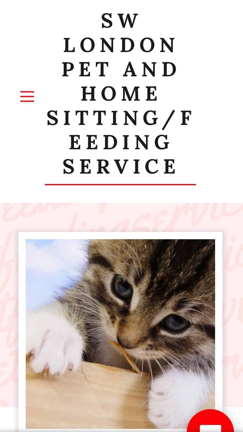 Pet feeding hot sale service