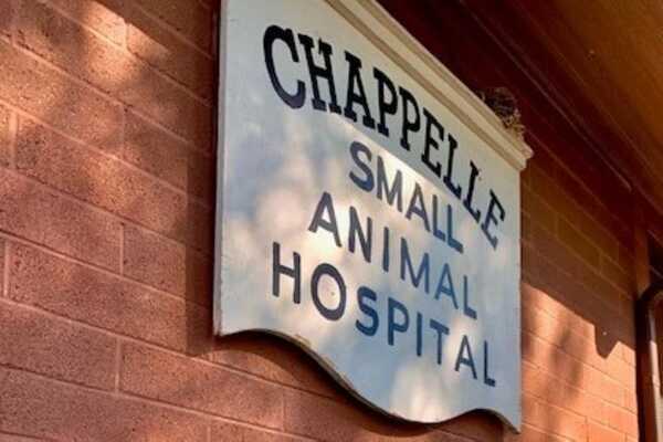 Chappelle Small Animal Hospital PC - Fort Collins, CO
