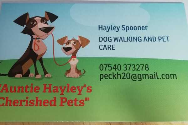 Auntie Hayley's Cherished pets Auntie Hayley's Cherished pets