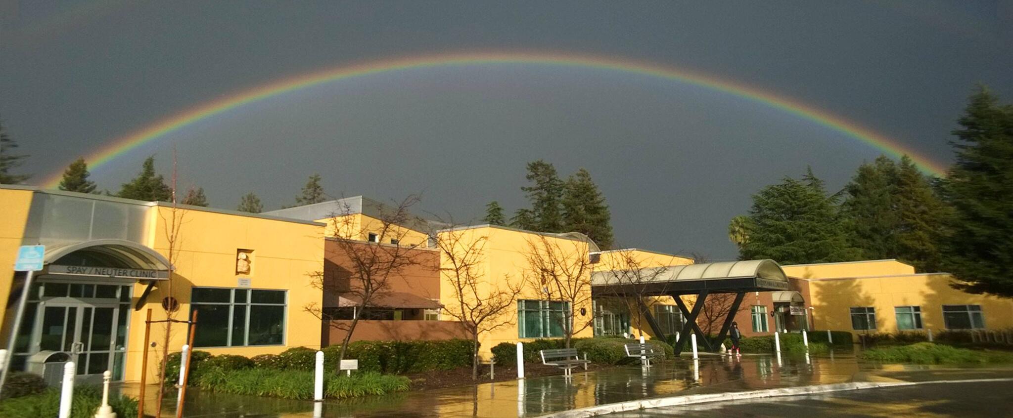 Animal Rescue Foundation Walnut Creek, CA Nextdoor