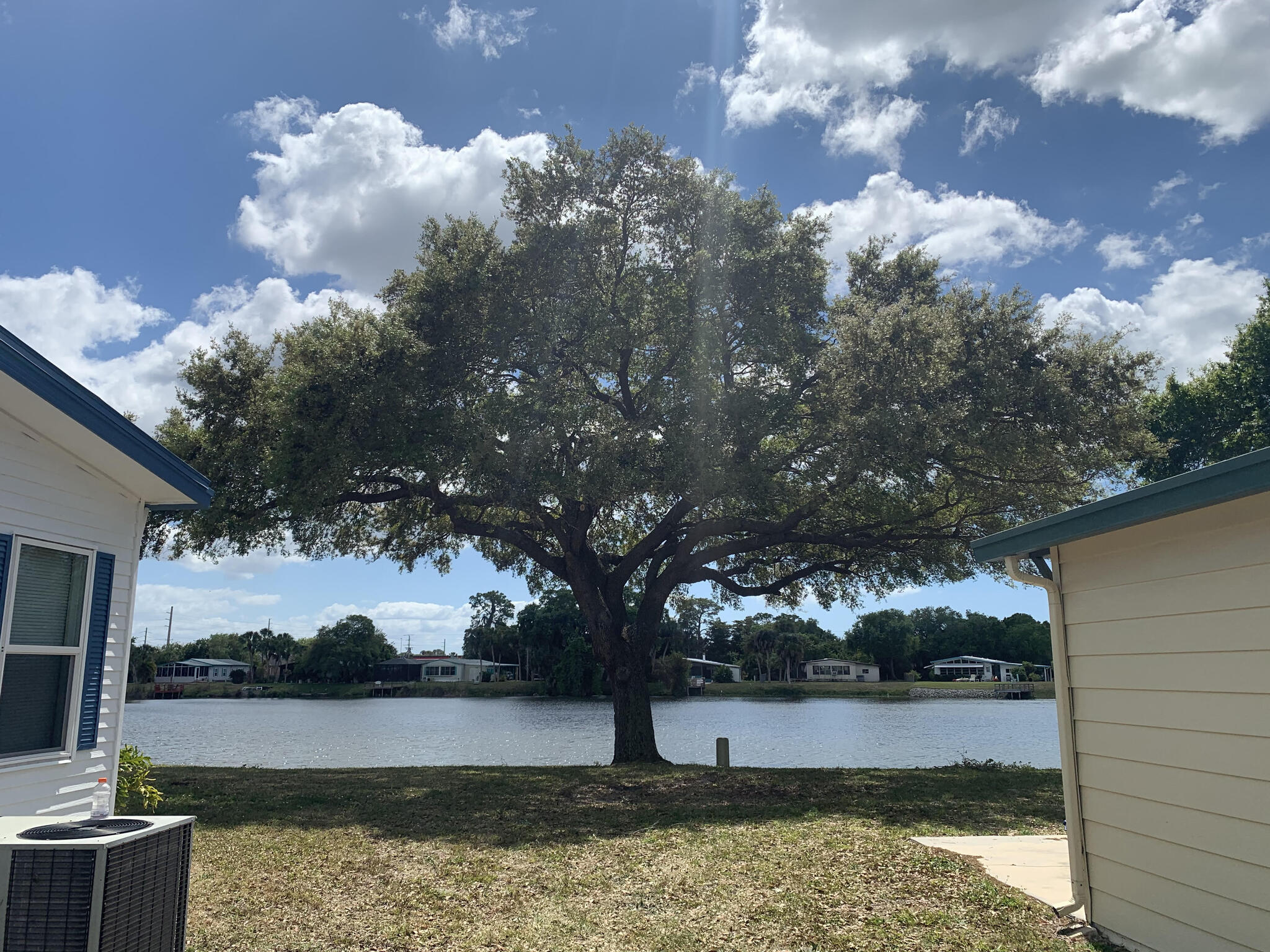 ISLAND TREE SERVICE / SARASOTA TREE SERVICE Venice, FL Nextdoor