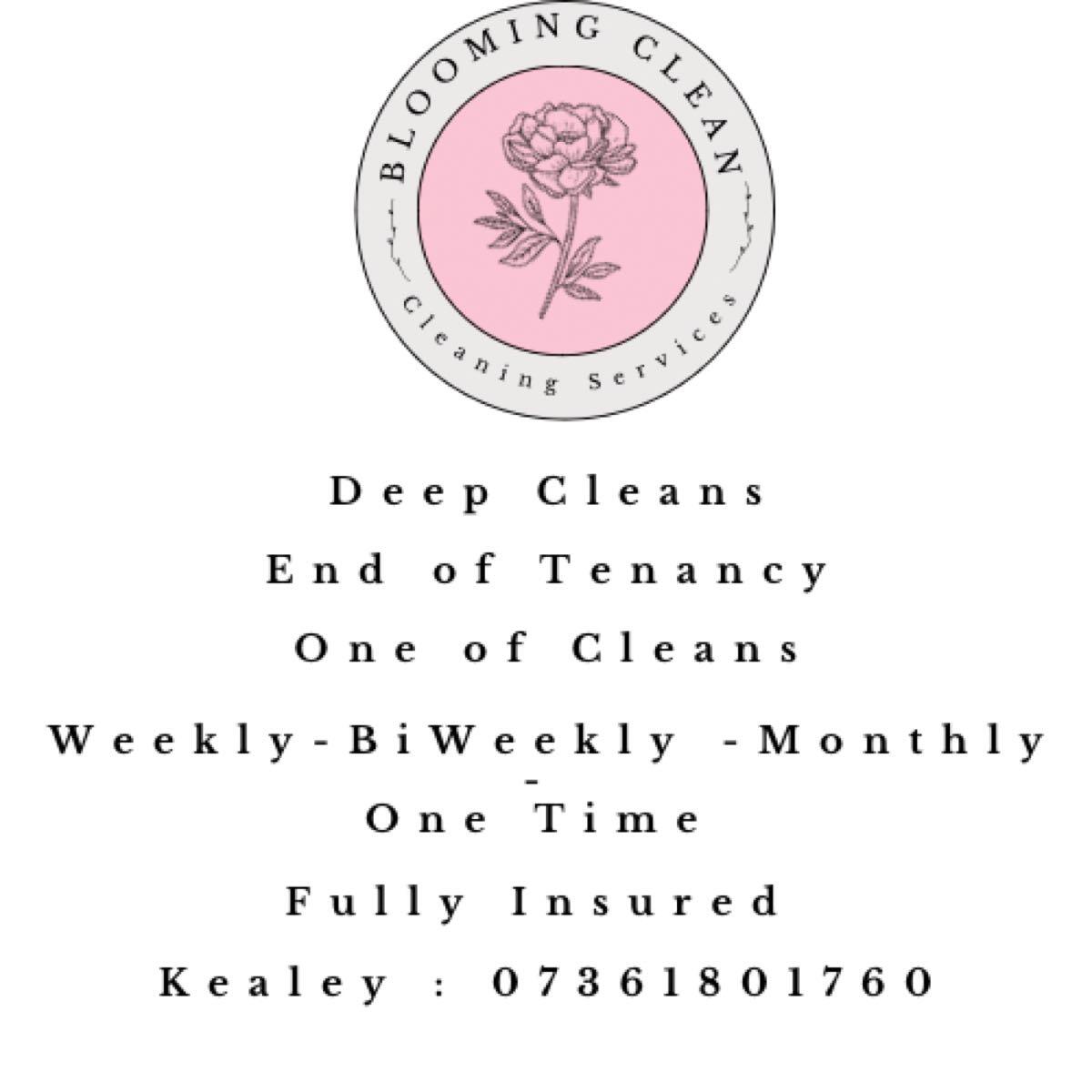 Blooming Clean Horsham Nextdoor