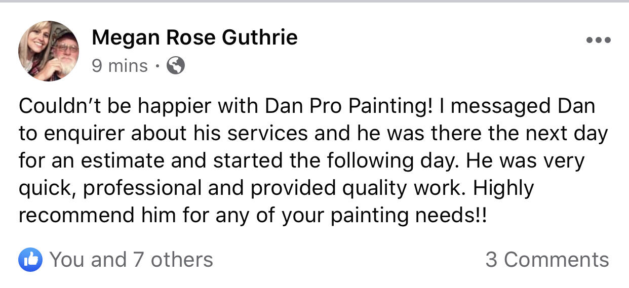 dan pro painting