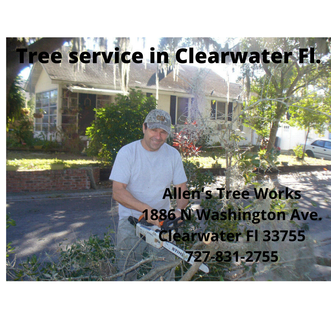 Allen s Tree Works Clearwater FL Nextdoor