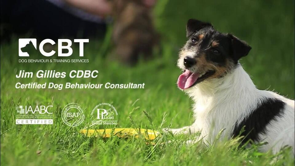 CBT Dog Behaviour & Training Glasgow Nextdoor