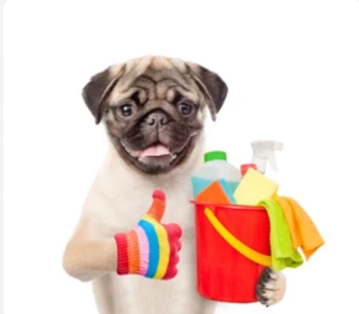 Ma’s Sparkling Clean Housekeeping Reno, NV Nextdoor