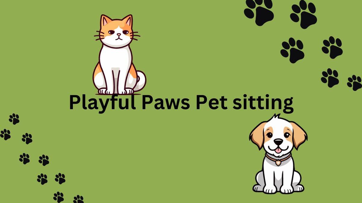 Playful Paws pet sitting Nextdoor