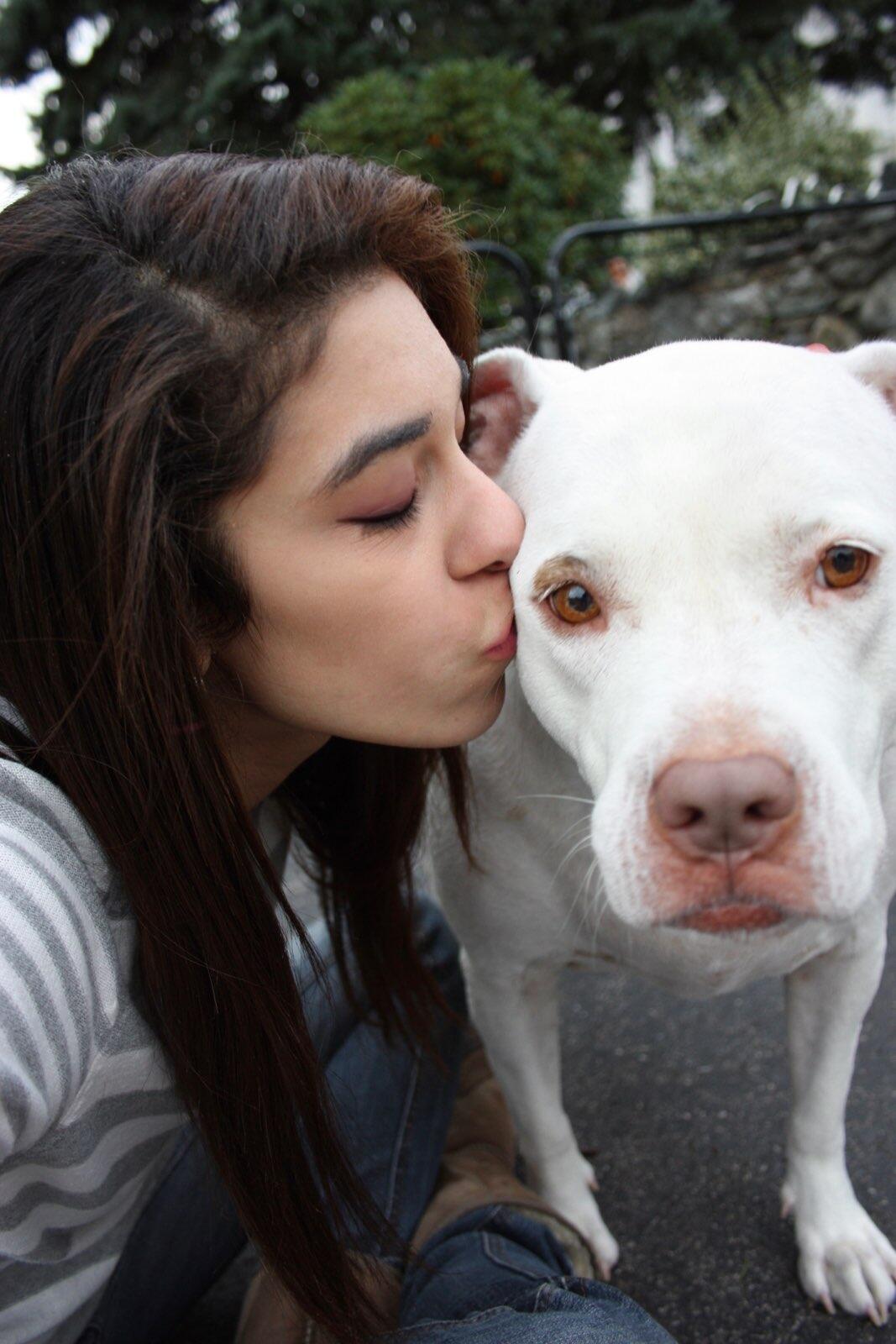 Fairytail Endings Rescue 6 Connections Port Charlotte Fl