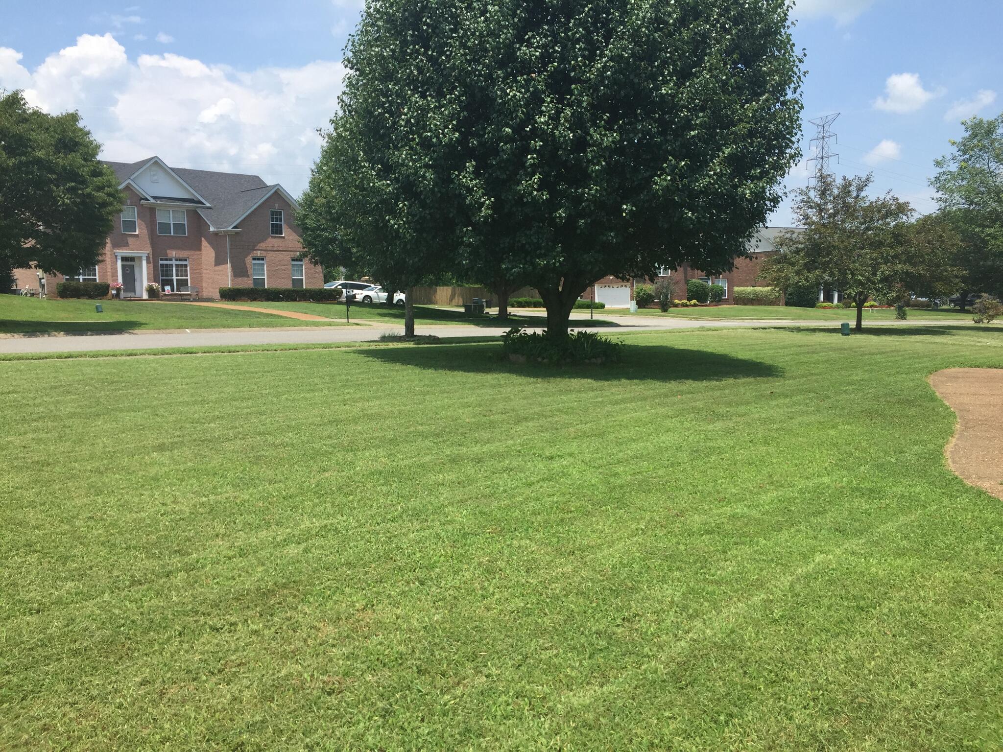 TN Lawn Enforcement Nextdoor