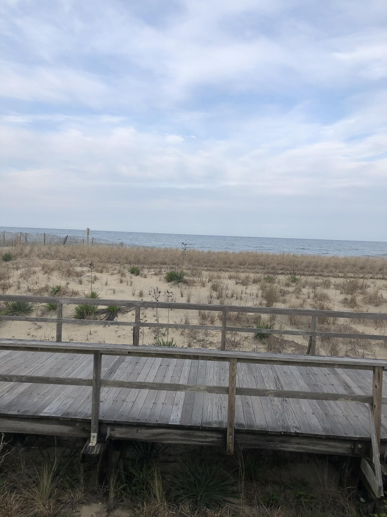 Vickie York at the Beach Realty: Your Gateway to Coastal Living