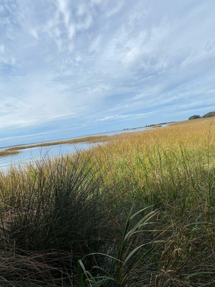 Gibson Landscaping and lawn care Brunswick, GA Nextdoor