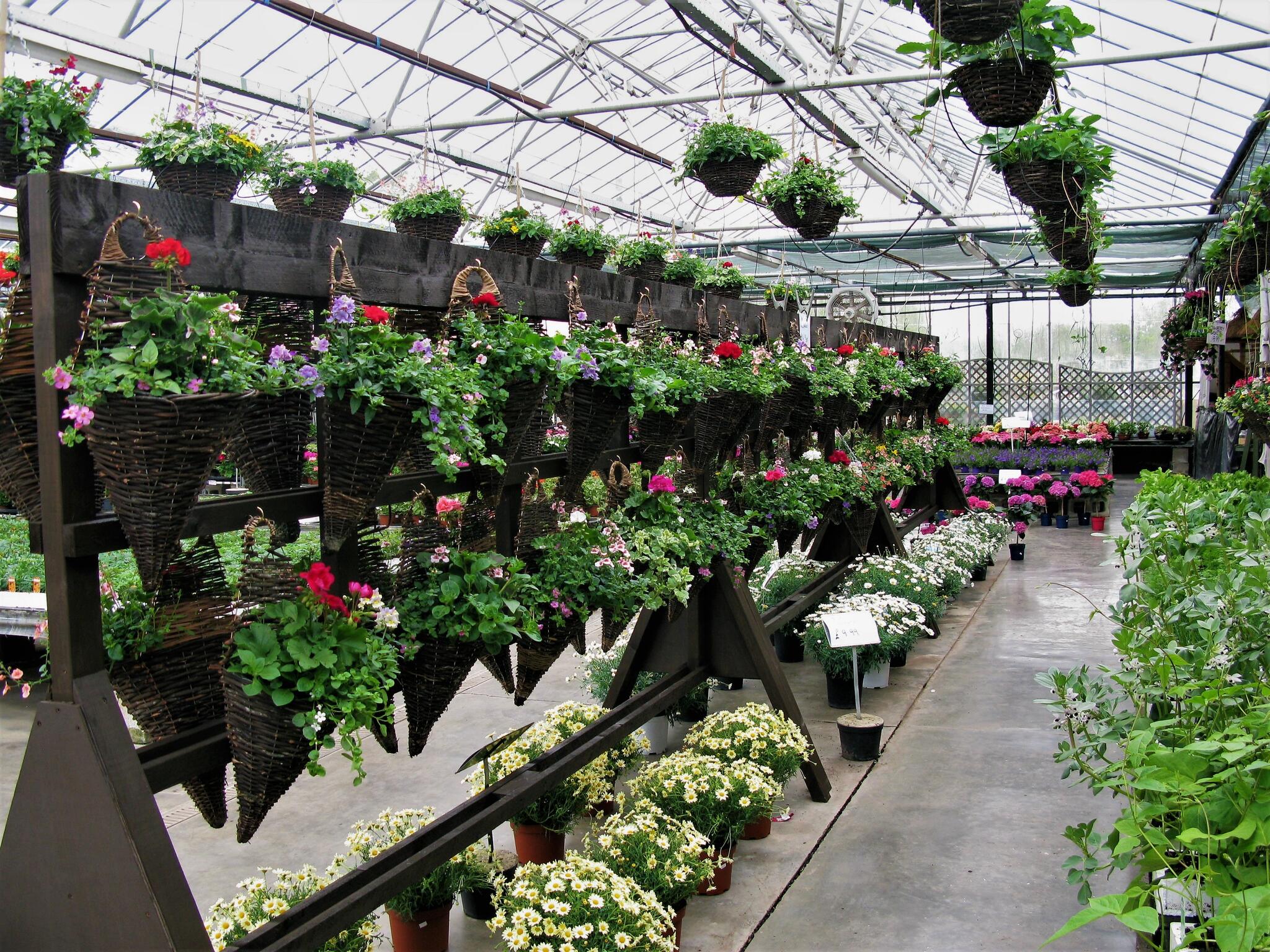 Plants Galore Garden Centre Roydon Nextdoor