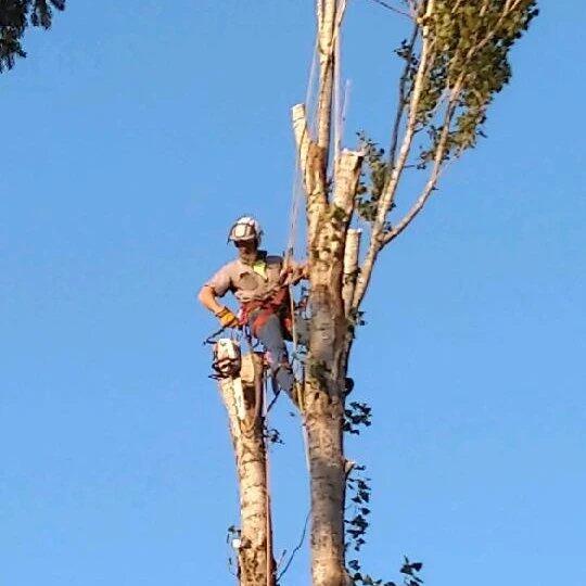 3H Tree Service Coos Bay, OR Nextdoor