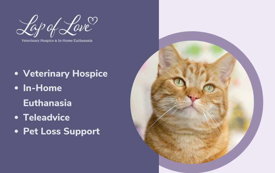 Lap of Love Veterinary Hospice and InHome Euthanasia Green Bay