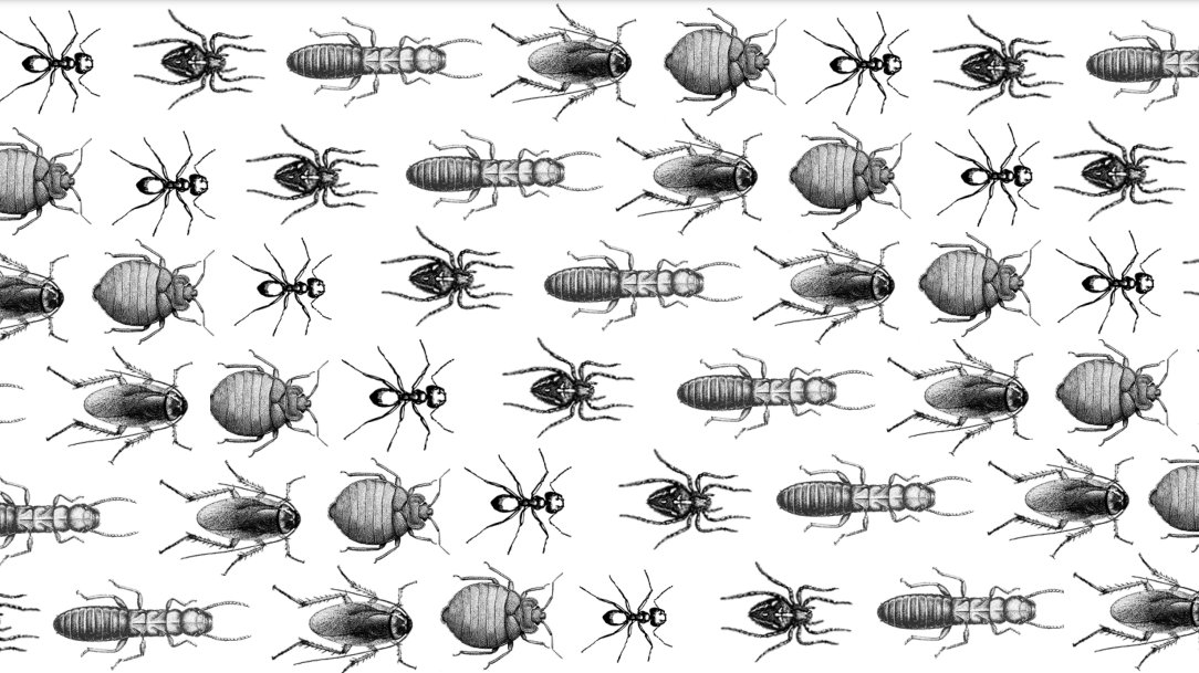 Apple Pest Control Houston, TX Nextdoor