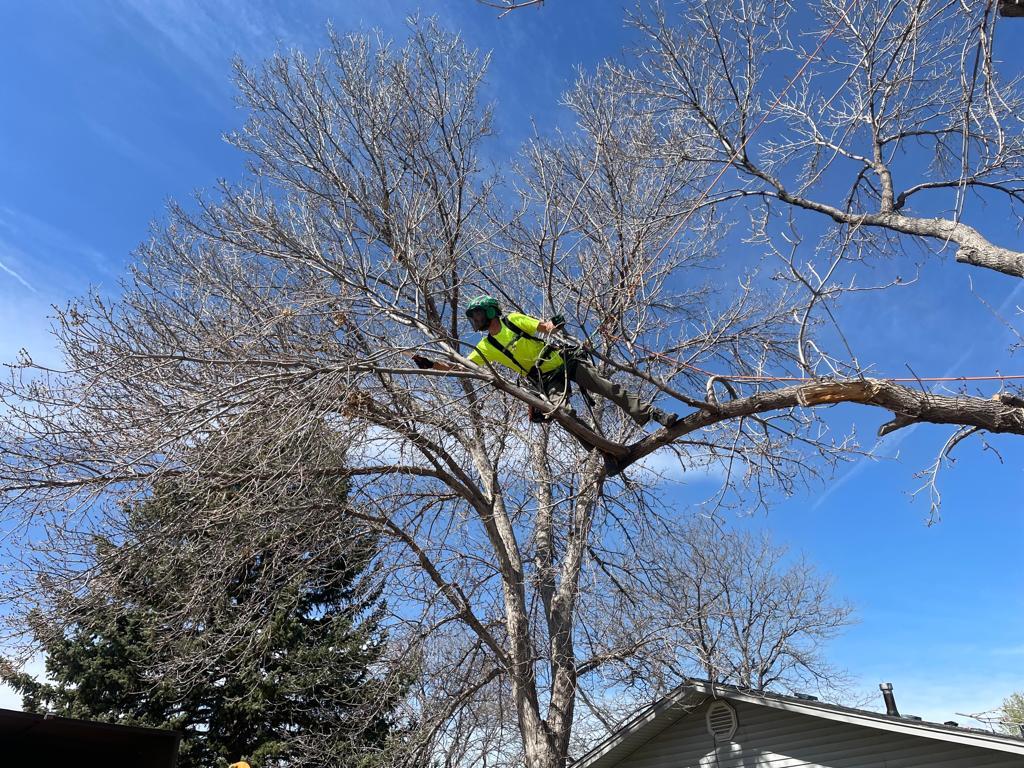Lumber Jack & Jill Fort Collins, CO Nextdoor