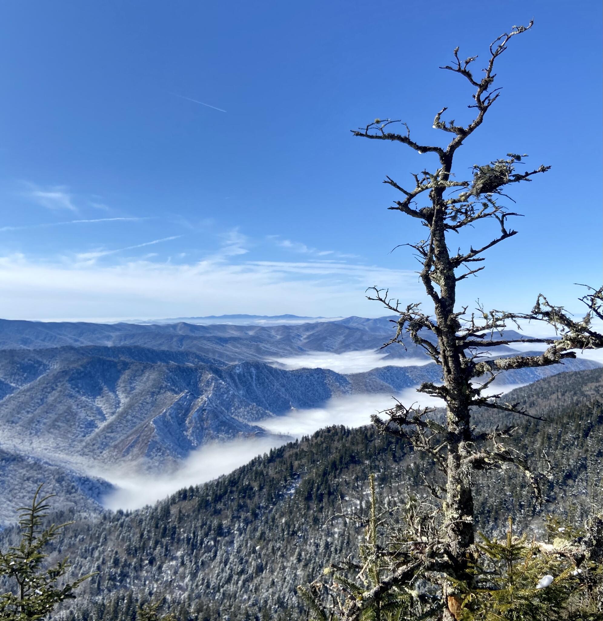 Medicine Man Craft Shop Cherokee, NC Nextdoor