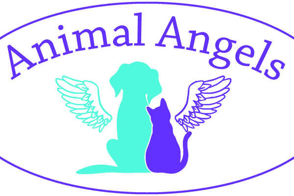Animal Angels (in-home pet euthanasia) - Nextdoor Animal Angels (in-home pet euthanasia) - Nextdoor
