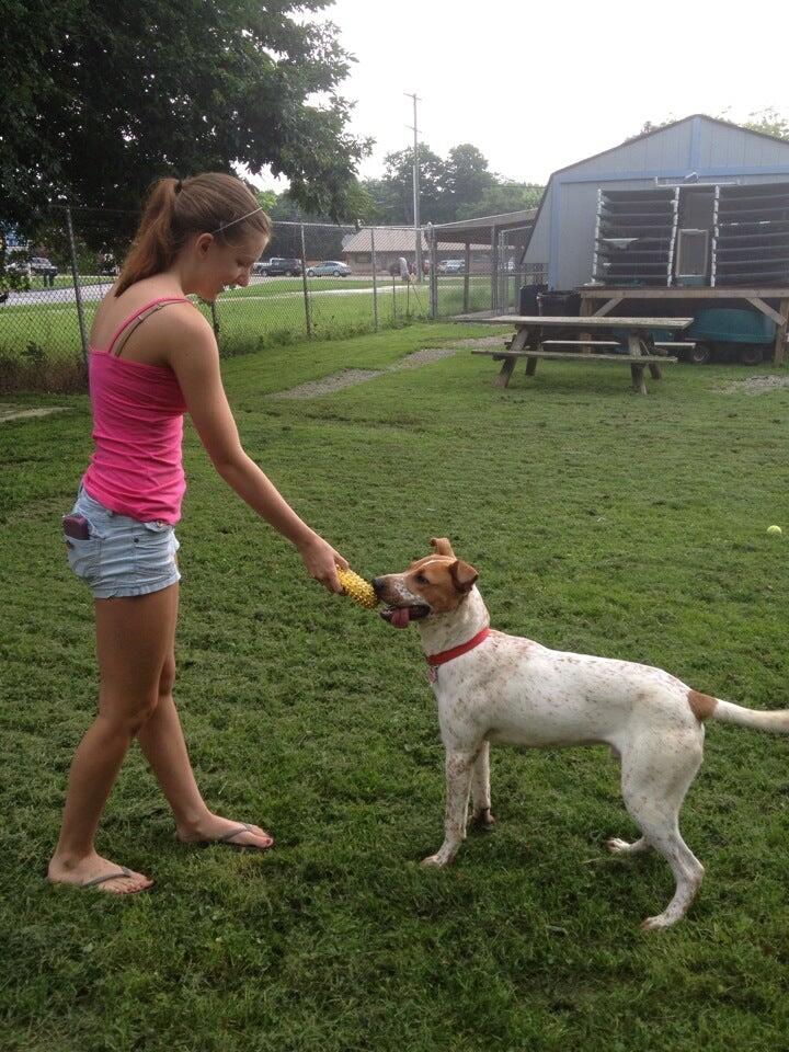 Humane Society of Monroe County - Monroe, MI - Nextdoor