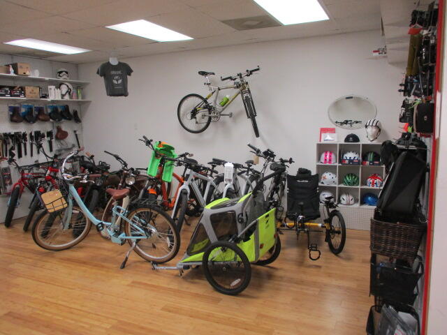 PedelecSQB Electric Bicycles - Punta Gorda, FL - Nextdoor