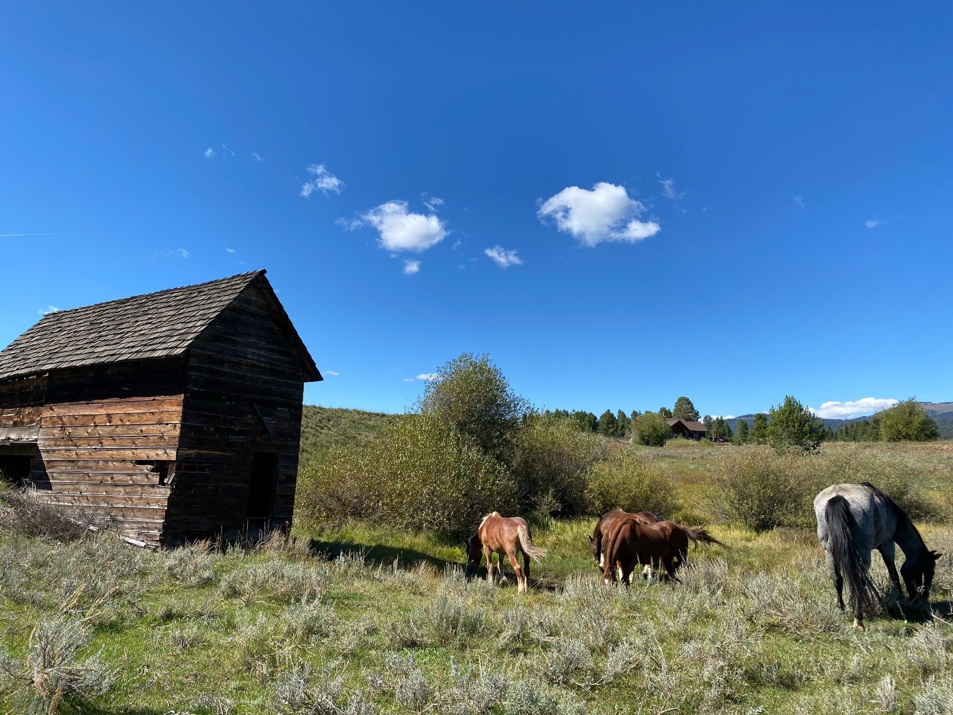 Eagle Ridge Ranch - Island Park, ID - Nextdoor