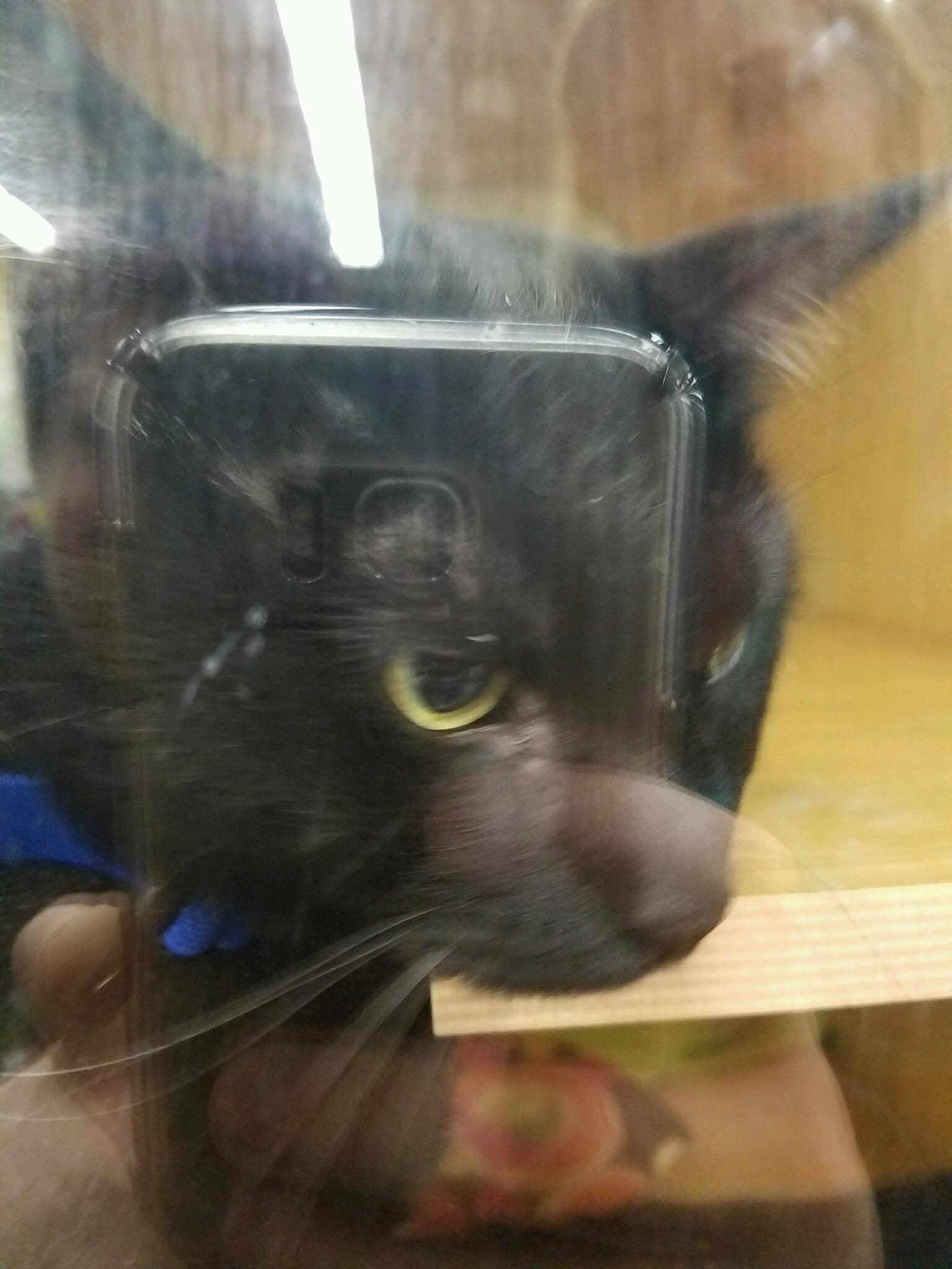 Petco