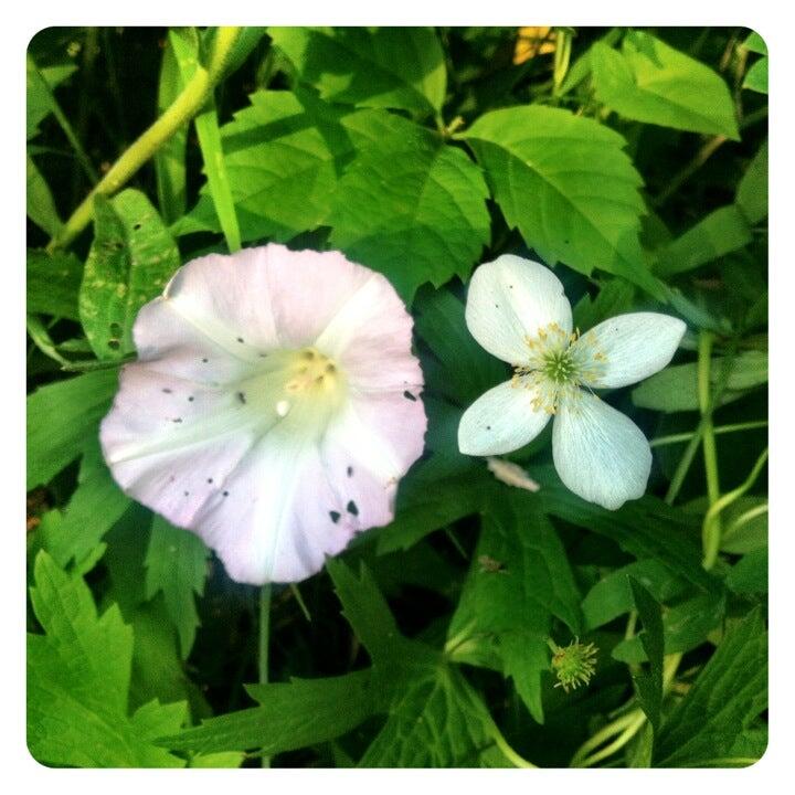 Mille Lacs Island Resort Wahkon, MN Nextdoor