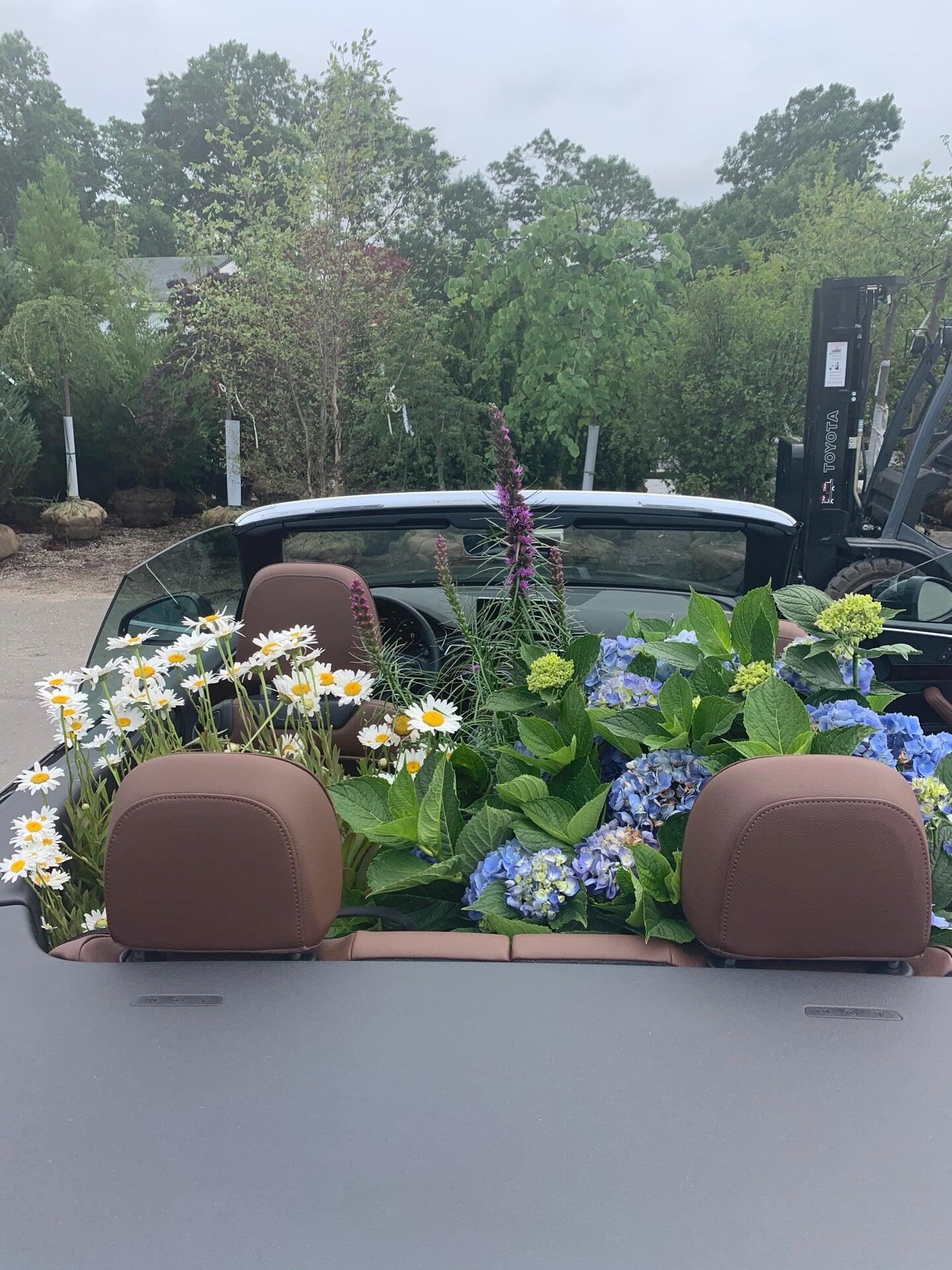 Bay Gardens East Moriches, NY Nextdoor