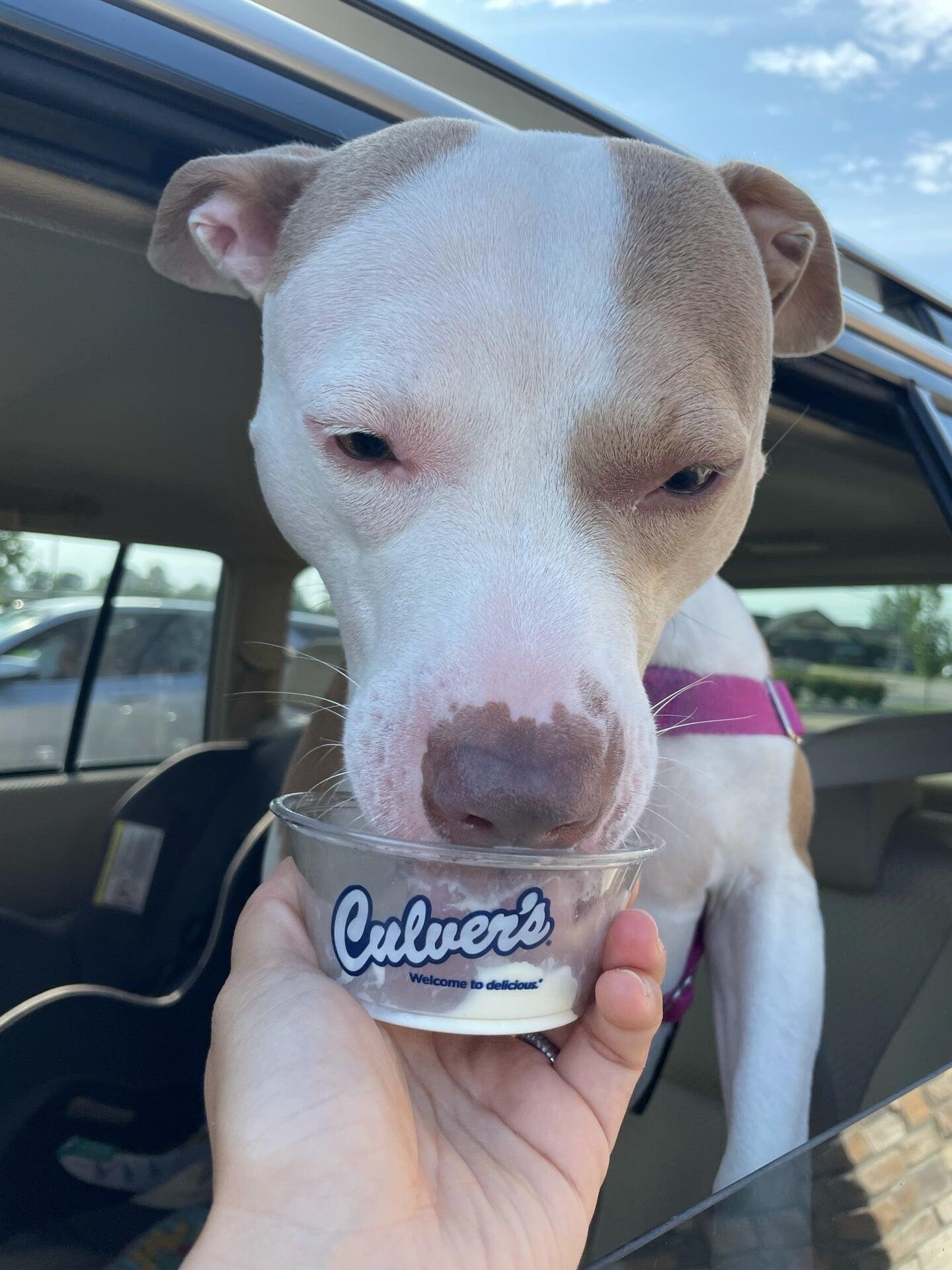 Culver's Bay City, MI Nextdoor