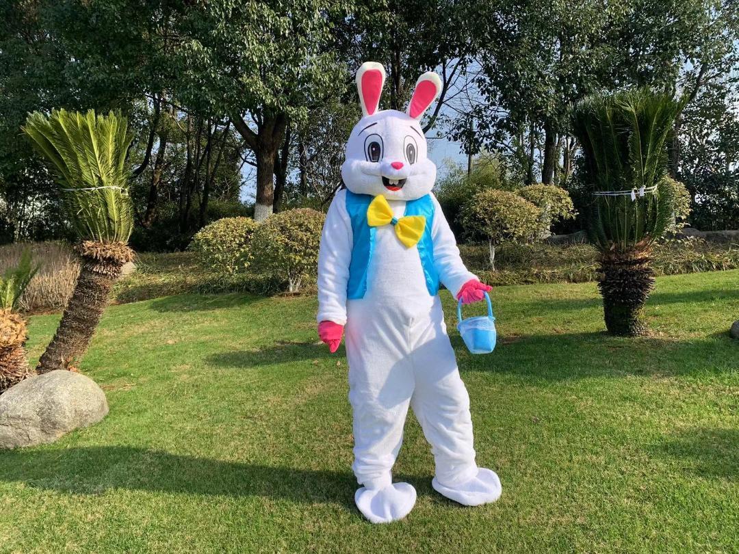 Mascot Costume World Aberdeen Nextdoor